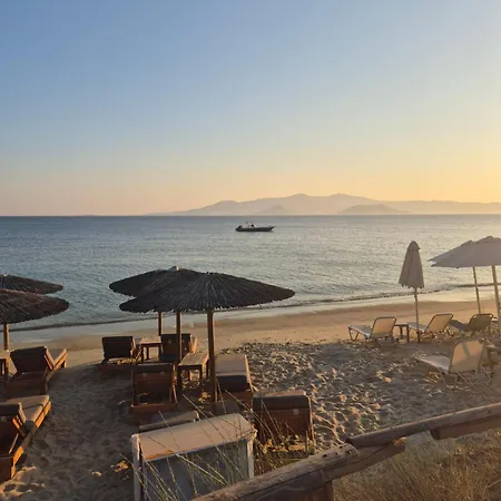 Stelios On The Vandrarhem *