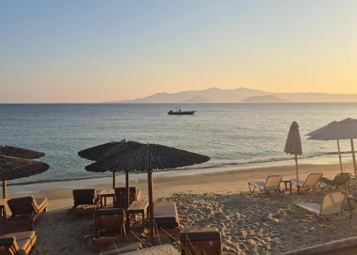 Stelios On The Hostel *